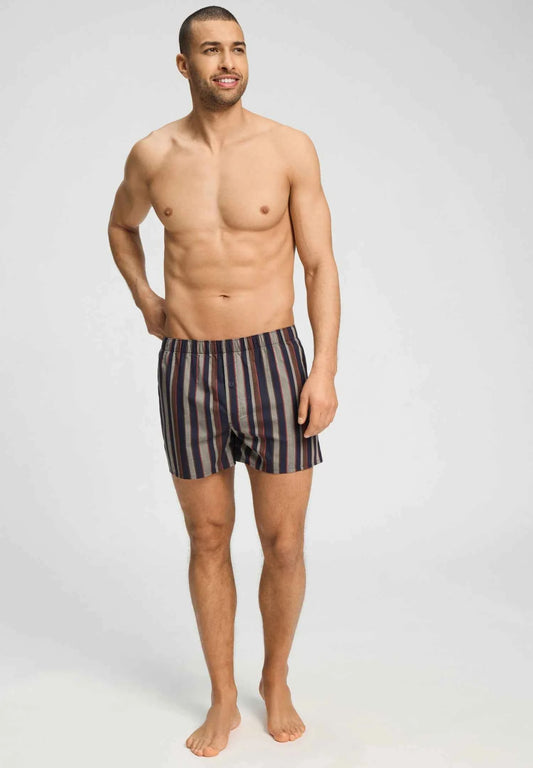 Boxer Pinecone Stripes