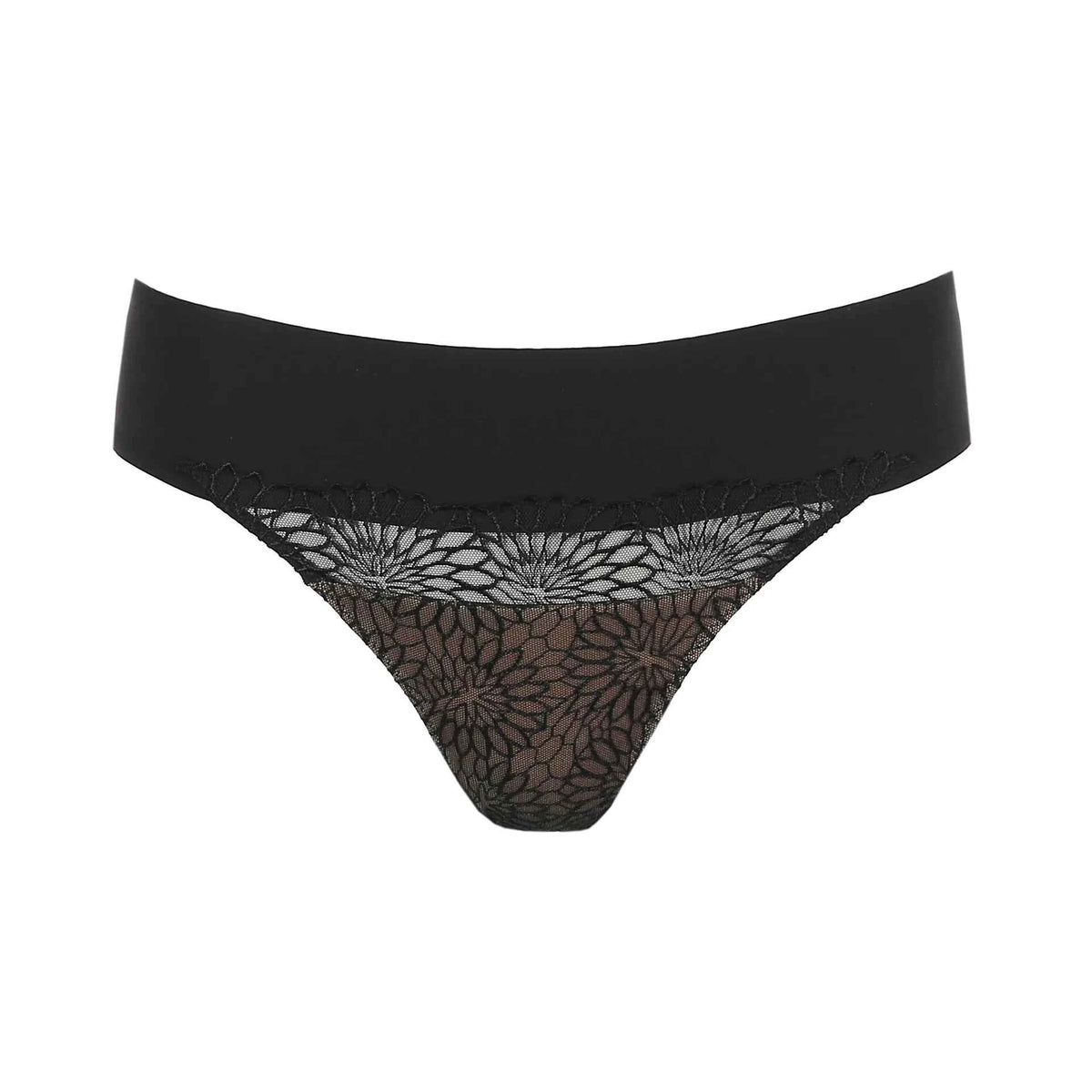 Tanga Sophora negro